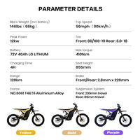 Moto électrique tout-terrain 79BIKE LYNX, puissance de pointe 12 kW, couple de 410 N.m, batterie lithium 72 V 40 Ah, vitesse maximale 90 km/h, pour adultes.