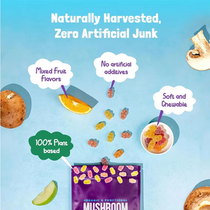 Nhãn hiệu riêng nấm Gummies Hữu Cơ nootropic não bổ sung nấm chiết xuất tăng cường bộ nhớ năng lượng nấm Gummies - Product Image 3