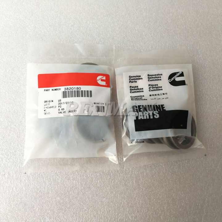 Cummins M11 L10 ISM11 QSM11 Engine Valve Seat Insert 3820180  