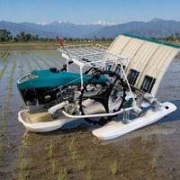 Transplanteuses de riz manuelles à manivelle, 4 rangs, espacement de 300 mm, pour plantation uniforme et espacement régulier, vente en gros OEM ODM