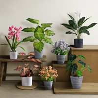 Tanaman Pot Buatan Mini Termasuk Pot Ramah Lingkungan Tahan Lama Tanaman Hijau Palsu Realistis Bunga Mekar untuk Dekorasi Rumah Dalam Ruangan