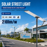 Lampu Jalan Tenaga Surya Komersial Efisiensi Tinggi 60w 120w Aluminium Tahan Air IP66 untuk Proyek Pemerintah dan Pasokan Tender