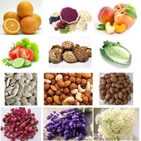 Industriële warmtepompdroger met maximale capaciteit, motor en aandrijving voor het drogen van fruit en groenten