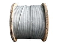 Câble Tensor / Câble de serre / Câble en acier galvanisé 1x7 1/8\" 1/4\" 3/16\"