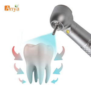 Cartuccia ceramica ad alta velocità ha condotto l'attrezzatura chirurgica dentale del Handpiece con materiale d'acciaio selezionato a mano dai dentisti - Product Image 3