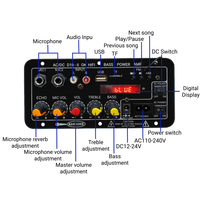 D10-II Mono Ev Amplifikatörü 35W, Radyo DC12V/24V AC220V USB TF Çift MIC Girişi Uzaktan Kumanda ile