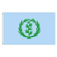 Ensemble d'accessoires de supporter sur le thème du drapeau national pour événements sportifs et célébrations, personnalisable, vente en gros, Erythrée