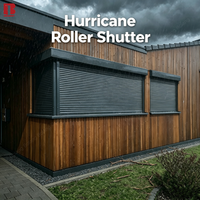 Volets roulants anti-ouragan Bolang en aluminium, télécommandés, électriques, isolés, insonorisants, robustes pour maison