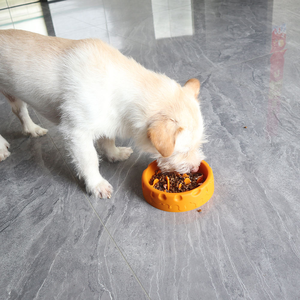 Bol pour chien en silicone <span class=keywords><strong>de</strong></span> qualité alimentaire, bol anti-étouffement à ventouse antidérapante, bol pour manger lentement pour chat, accessoires pour animaux <span class=keywords><strong>de</strong></span> compagnie - Product Image 4