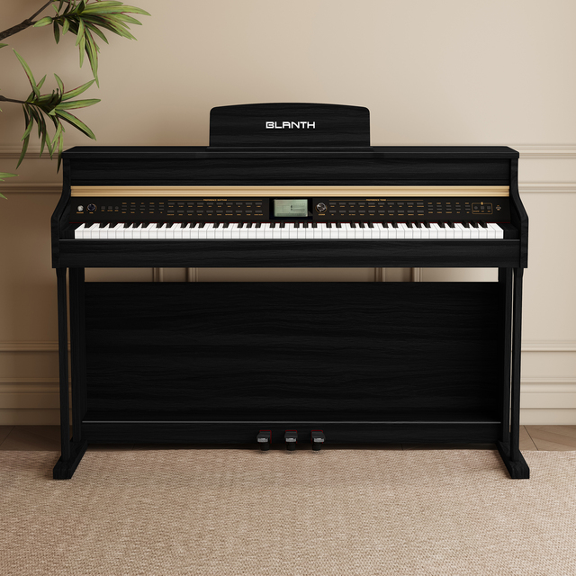 BLANTH Keyboard Instruments Electric Piano Keyboard Digital Piano Electronic Music Instrument Piano for Sale