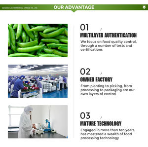 Venta al por mayor nueva cosecha IQF azúcar verde congelado Snap guisantes <span class=keywords><strong>verduras</strong></span> congeladas azúcar verde Snap guisantes - Product Image 6