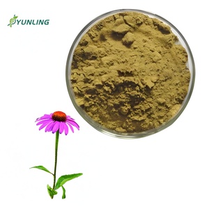 Tedarik organik ekinezya Angustifolia özü 80% Chicoric asit tozu ekinezya yaprak tozu ekinezya takviyesi - Product Image 1