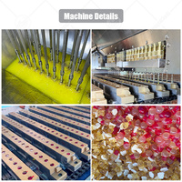 Machine de fabrication de bonbons ORME Gelitin, ligne de production de bonbons gélifiés pelables 4D
