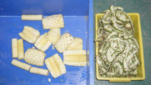 Machine industrielle de trancheuse de carottier d'éplucheur d'ananas de la Chine à vendre - Product Image 4