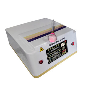 Peralatan Terapi Laser Dokter Hewan 60W 980nm, Laser Terapi Dokter Hewan