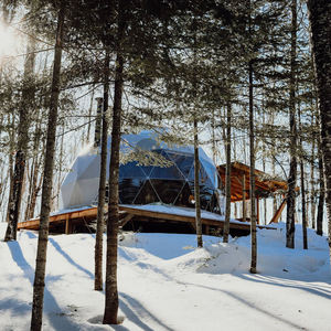 Experience Luxury in <b>Glamping</b> Geodesic Dome <b>Tent</b> With Glass and Canvas - Product Image 5