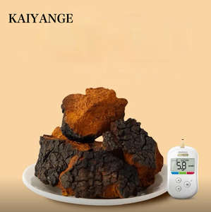 KAIYANGE - Polvo <span class=keywords><strong>de</strong></span> Hongo Chaga Seco Orgánico al por Mayor, Materia Prima <span class=keywords><strong>de</strong></span> Alta Calidad, Hongo Chaga Negro Seco - Product Image 5