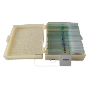 Outils d'enseignement des sciences biologiques <span class=keywords><strong>au</strong></span> lycée : Histologie, ensemble de 12 lamelles préparées pour microscopes, cellules sanguines, observation de spécimens - Product Image 5