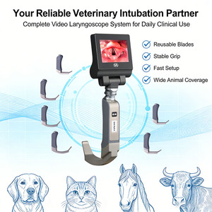 Videolaringoscopio Veterinario Reutilizable con Pantalla de 3 Pulgadas, 32 GB de Almacenamiento, Batería Recargable, Endoscopio para Animales Pequeños - Product Image 1