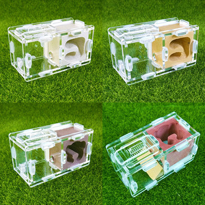 Bionic Acrylique Petit Nid de ferme de fourmis Produit pour animaux de compagnie pour les amateurs de fourmis - Product Image 2
