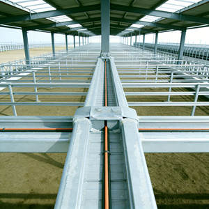 Establos Prefabricados de Acero de Estilo Industrial para Vacas, Caballos y Ganado - Product Image 2