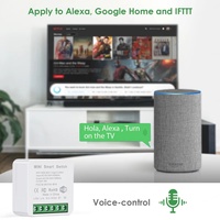 Interrupteur intelligent Tuya 16A Mini WiFi+RF433MHz, télécommande, minuterie bidirectionnelle, compatible Alexa et Google Home, charge maximale 3840W, portée 20m, garantie 2 ans