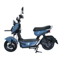 Vente en gros vélo électrique 2 roues de grande capacité pour adultes moteur de moyeu arrière batterie 12ah scooter électrique eBike