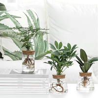 Culture hydroponique sans sol de plantes vertes décoration de la maison vase en verre pot de fleur dessus de table