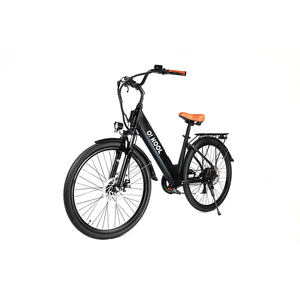 Bicicleta Eléctrica Plegable JUNFU FB21 Todoterreno con Motor Trasero sin Escobillas de 250W-500W, Batería de Litio de 48V 18Ah y Cuadro de Aluminio con Neumáticos Anchos - Product Image 1