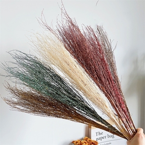 Ppl26 cây vĩnh cửu sắp xếp hoa bảo quản tuyết trắng chi nhánh liễu cành cây liễu - Product Image 1