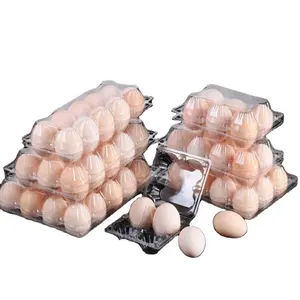 Hot Sale Qatar 4-8 Egg Tray Machine Beston