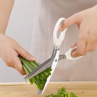 Ciseaux à herbes multifonctionnels de haute qualité en acier inoxydable robuste à 5 lames, ensemble d'outils de cuisine avec peigne de nettoyage, éplucheur d'herbes