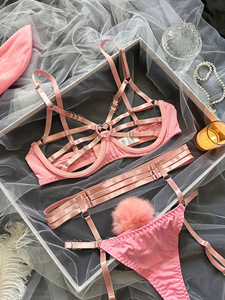 Lapin fille Sexy Lingerie ensemble pour femmes évider bretelles transparentes Patchwork Sexy lapin <span class=keywords><strong>bandeau</strong></span> Lingerie <span class=keywords><strong>soutien</strong></span>-<span class=keywords><strong>gorge</strong></span> ensemble nouveau 1541 - Product Image 6