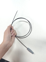 Caméra endoscopique flexible, boroscope simple, endoscope auriculaire, caméra étanche, caméra de 2 mm, protection PTFE