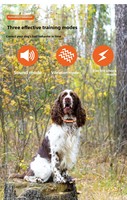 Sicheres & Sanftes Intelligentes Fernbedienungs-Hundetrainingshalsband, Anti-Bell-Hundetrainer für Alle Hundegrößen, Sofort Lieferbar