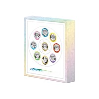 Cadre de présentation mural pour pièces de monnaie métalliques Pokémon Eevee Eeveelutions, coffret de collection pour cartes TCG Anime, cadeau