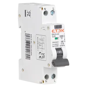 ETEK 1P+N Residual current earth leakage circuit breaker Factory direct manufacture mcb EKL9-40 6KA low moq connector