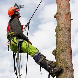 Đi bộ đường dài cắm trại chèo thuyền câu cá an toàn leo dây thừng thám hiểm hang động kỹ thuật 8mm 10mm <span class=keywords><strong>12mm</strong></span> 14mm 16mm 18mm 20mm Nylon leo dây - Product Image 6