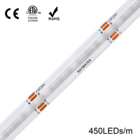 Bande LED COB flexible RGB Raymates 12V 450 LED/m 10mm 15W/m CRI 90+ avec puce intelligente pour la décoration de plafond d'hôtel