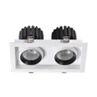 Dayton Hot Product Spotlight Swiveling Type LED Downlight Double Lamps Super Fashion Model 12W