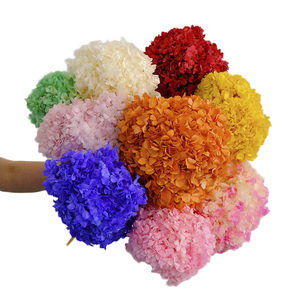 UKIQUEEN, <span class=keywords><strong>precio</strong></span> de fábrica al por mayor, hortensias blancas secas naturales, flores preservadas para el Día de San Valentín, Año Nuevo, Día del Padre - Product Image 1
