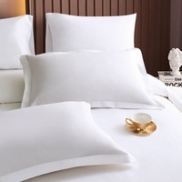 Ensemble de literie d'hôtel de luxe 100% coton tissé, taille et couleur personnalisables, housse de couette 300tc, toutes saisons