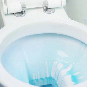 Lc Hộ Gia Đình Chất Lỏng Thơm Nhà Vệ Sinh Tạo Bọt Khối Tự Động Bát Nhà Vệ Sinh Sạch Chất Lỏng Nhà Vệ Sinh Sạch Hơn Cho Bên Trong Bát <span class=keywords><strong>Wc</strong></span> - Product Image 4