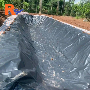 <span class=keywords><strong>Azolla</strong></span> แผ่นซับน้ำสำหรับบ่อน้ำแผ่นบุผนัง HDPE geomembrane สำหรับของเสียและน้ำป้องกันเรดอน - Product Image 5