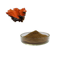 Extrait de champignon champignon Antrodia Camphorata extrait polysaccharide 30% poudre