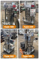 Hoge Kwaliteit Nieuwe Industriële Palmfruitolie Persmachine Semi-Automatische Arachine Sesam Hydraulische Koude Pers Olie-Extractor