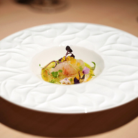 Ensembles de vaisselle en porcelaine ensembles de vaisselle en céramique blanc hôtel ensembles d'assiettes vaisselle bol en porcelaine assiettes en mélamine os chine