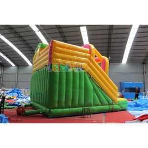 Nhà Máy Giá Nhảy Lâu Đài Đôi Trượt Nước <span class=keywords><strong>Inflatable</strong></span> <span class=keywords><strong>Bouncer</strong></span> Cho Trẻ Em Súng Nước Nhà Bị Trả Lại Với Bóng Rổ <span class=keywords><strong>Hoop</strong></span> Đảng - Product Image 5