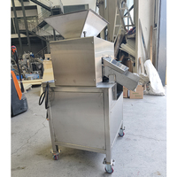 Automatische Dubbele Roller Sapcentrifuge Motor RVS 304 Hoge Efficiëntie Fruitpers Machine voor Citroen Groen