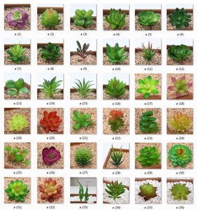 Chậu Cây Mọng Nước Mini Cây Xương Rồng Bằng Nhựa Cây Nhân Tạo Lô Hội Hoa Sen Phụ Kiện Cắm Hoa Trang Trí Nhà Cửa - Product Image 2